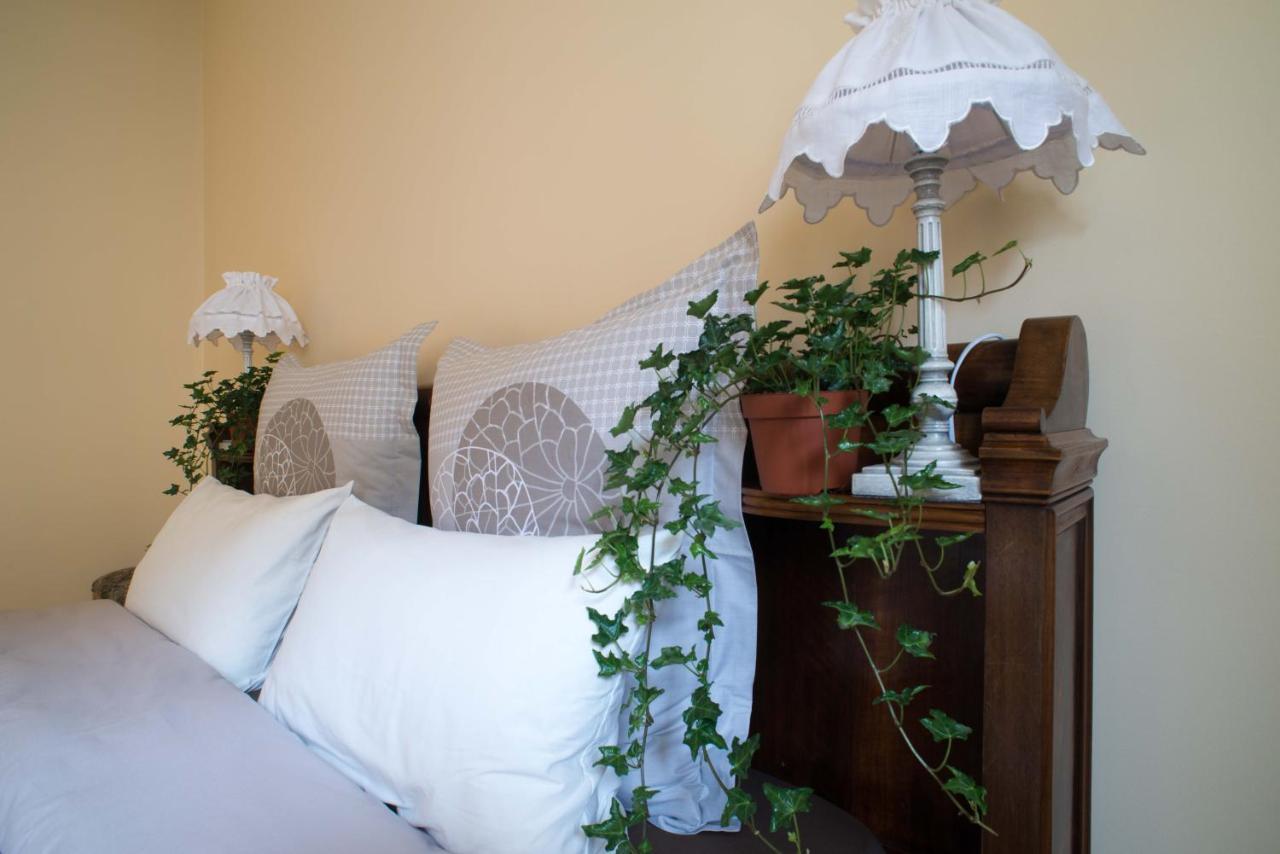 B&B J'Irais Dormir A Lyon Bagian luar foto