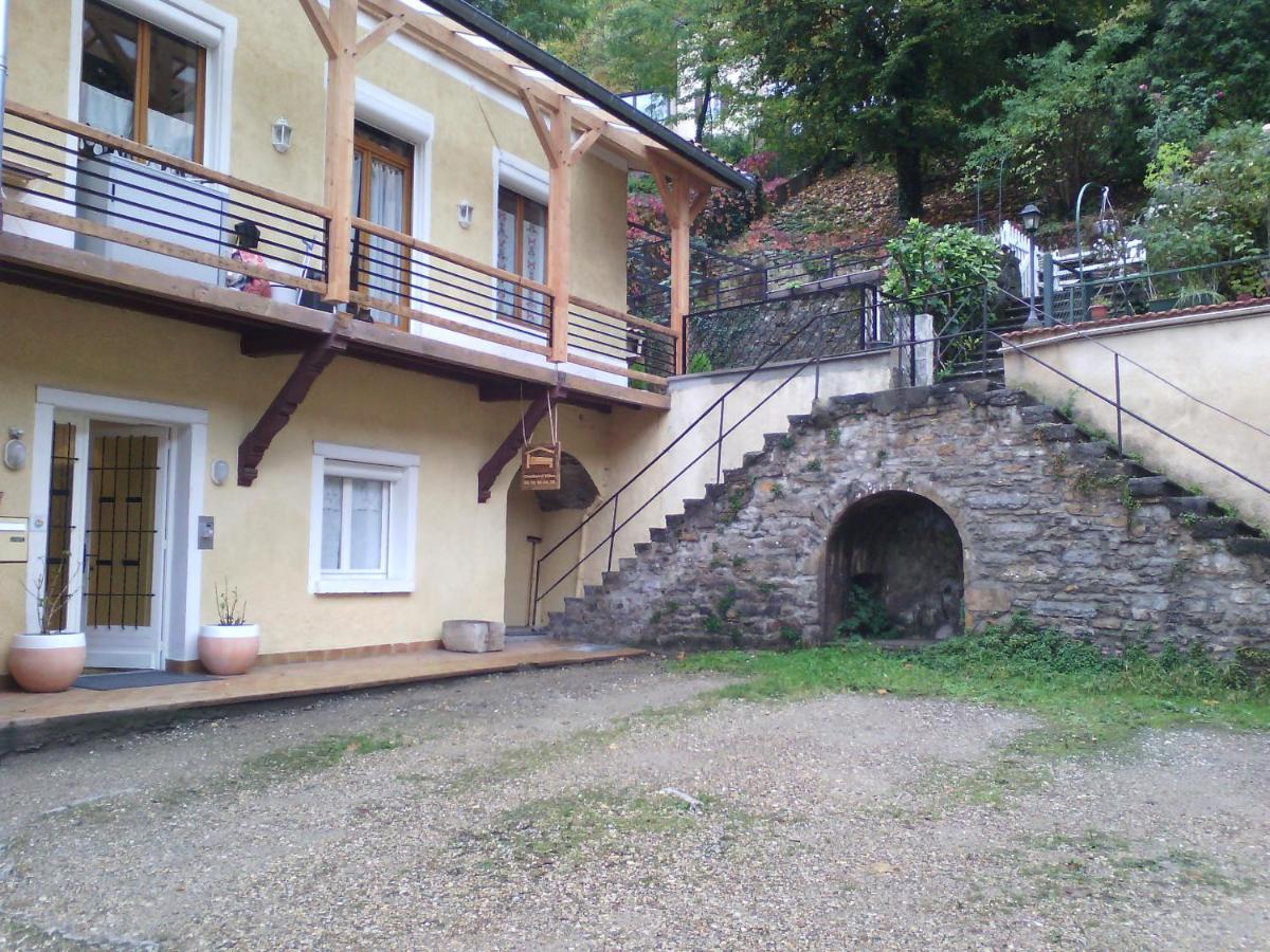 B&B J'Irais Dormir A Lyon Bagian luar foto