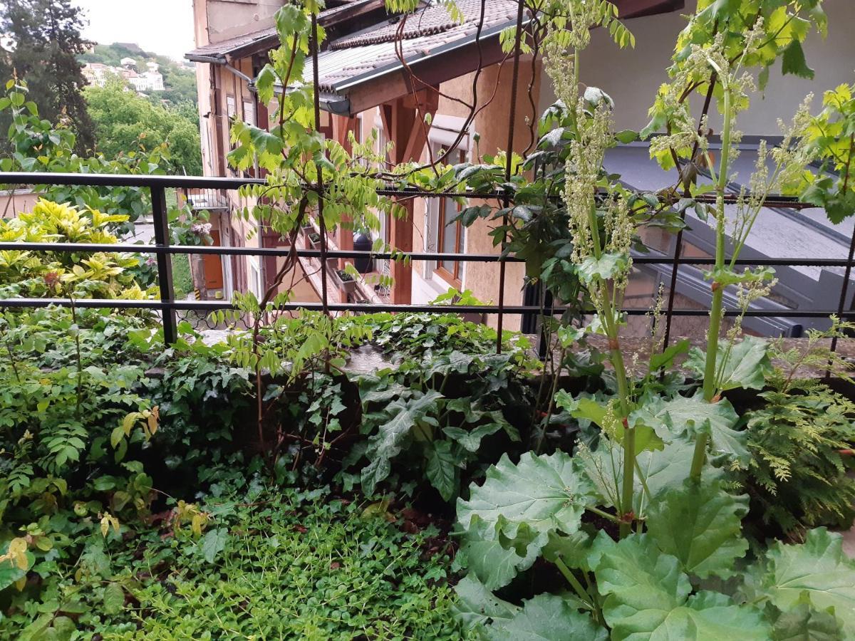 B&B J'Irais Dormir A Lyon Bagian luar foto